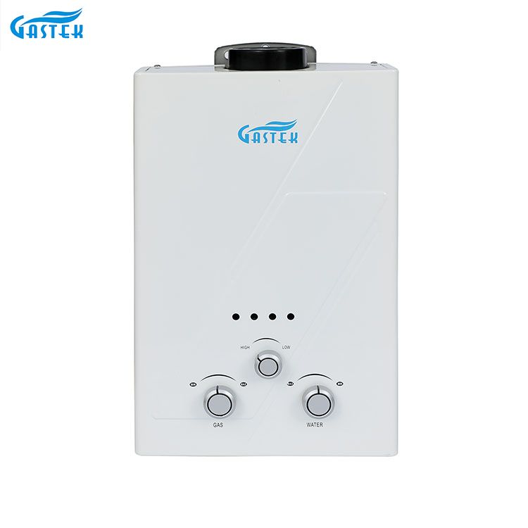 Flue Type Wall Mounted 6L 10L 12L 16L 20L LPG Tankless Instant Gas Geyser for Shower