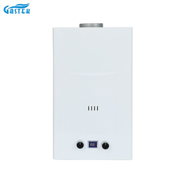 ປະເພດ flue type 6L 8L 10L ຂະຫນາດ 16l 16L ໃນ GASH GASH GASH GASTER LPG