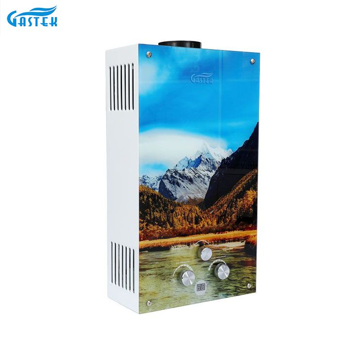 Tankless Flue ປະເພດກະດານແກ້ວອາຍແກັສເຄື່ອງເຮັດຄວາມຮ້ອນນ້ໍາອາຍແກັສຂາຍຍົກ Gayser ສໍາລັບເຮືອນຄົວ