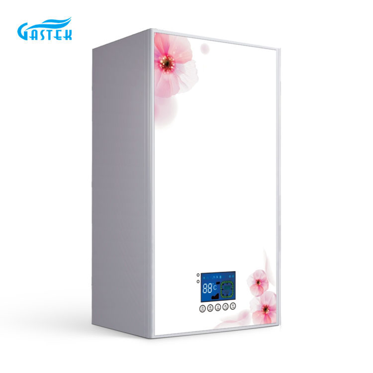 Boiler ອາຍແກັສທົ່ວໄປ