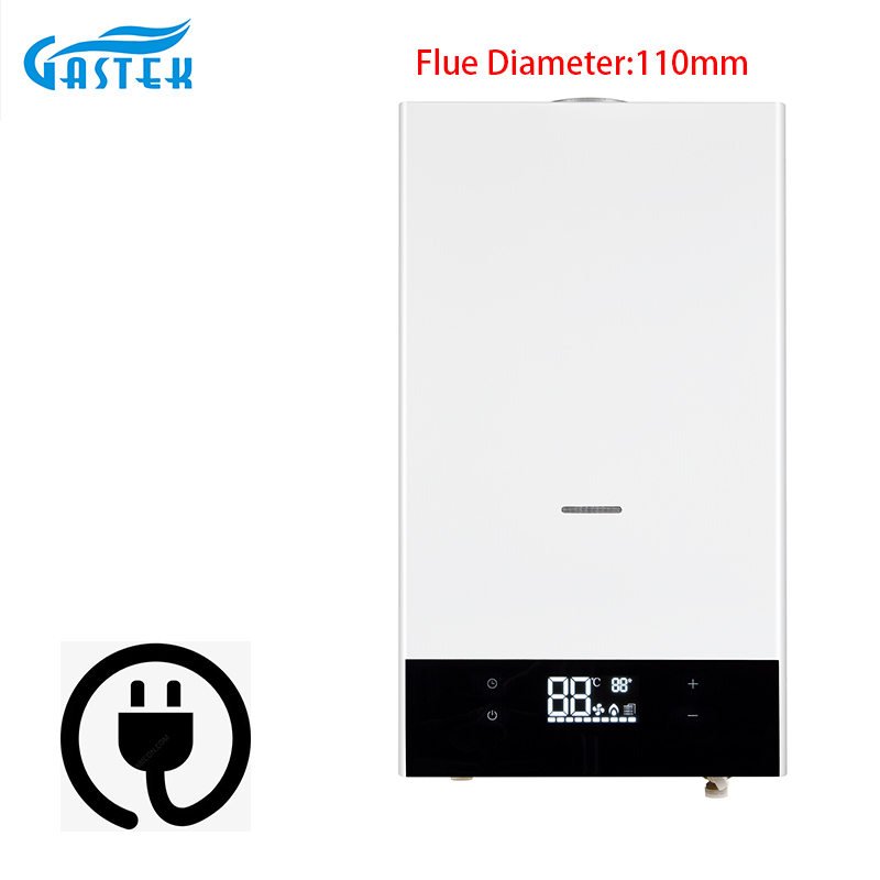 Electronic Control Constant Temperature 10L 12L Flue Type Wall Mounted Tankless Instant LPG Natural Hot Water Gas Heater for Shower