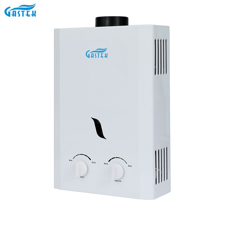 Home Appliance Flue Type Wall Mounted 6L 10L 12L 16L 20L LPG Tankless Instant Gas Geyser for Shower