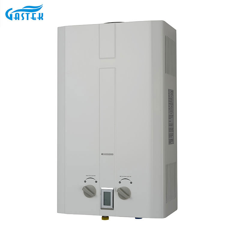 Flue Type Wall Mounted Home Appliance Gayser