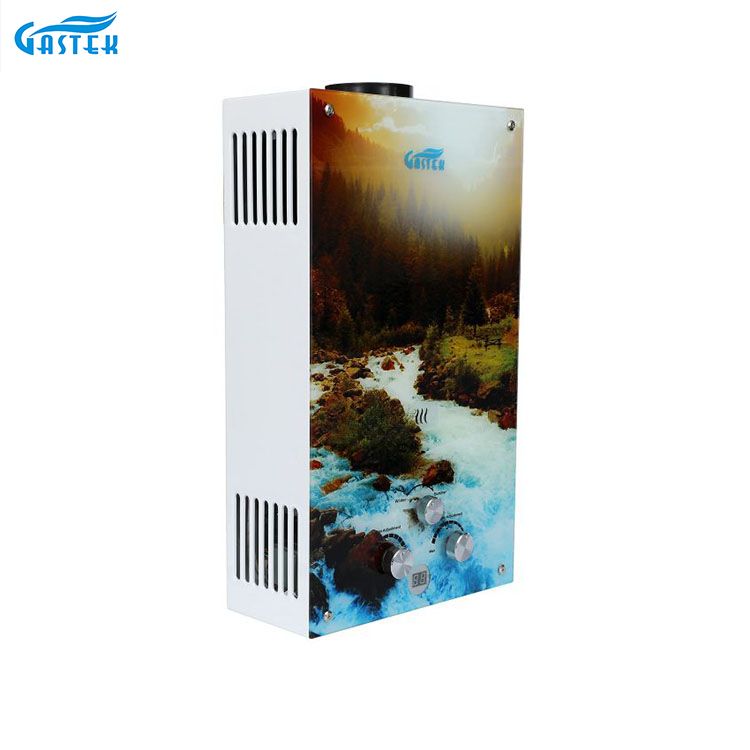 Flue Type Wall Mounted Instant Gas Water Heater for Shower Bathing